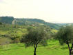 Agriturismo Il Meleto - Bagnoregio